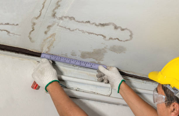 Reliable Structural Drying contractor in Cookstown, NJ by Water Damage Irwin